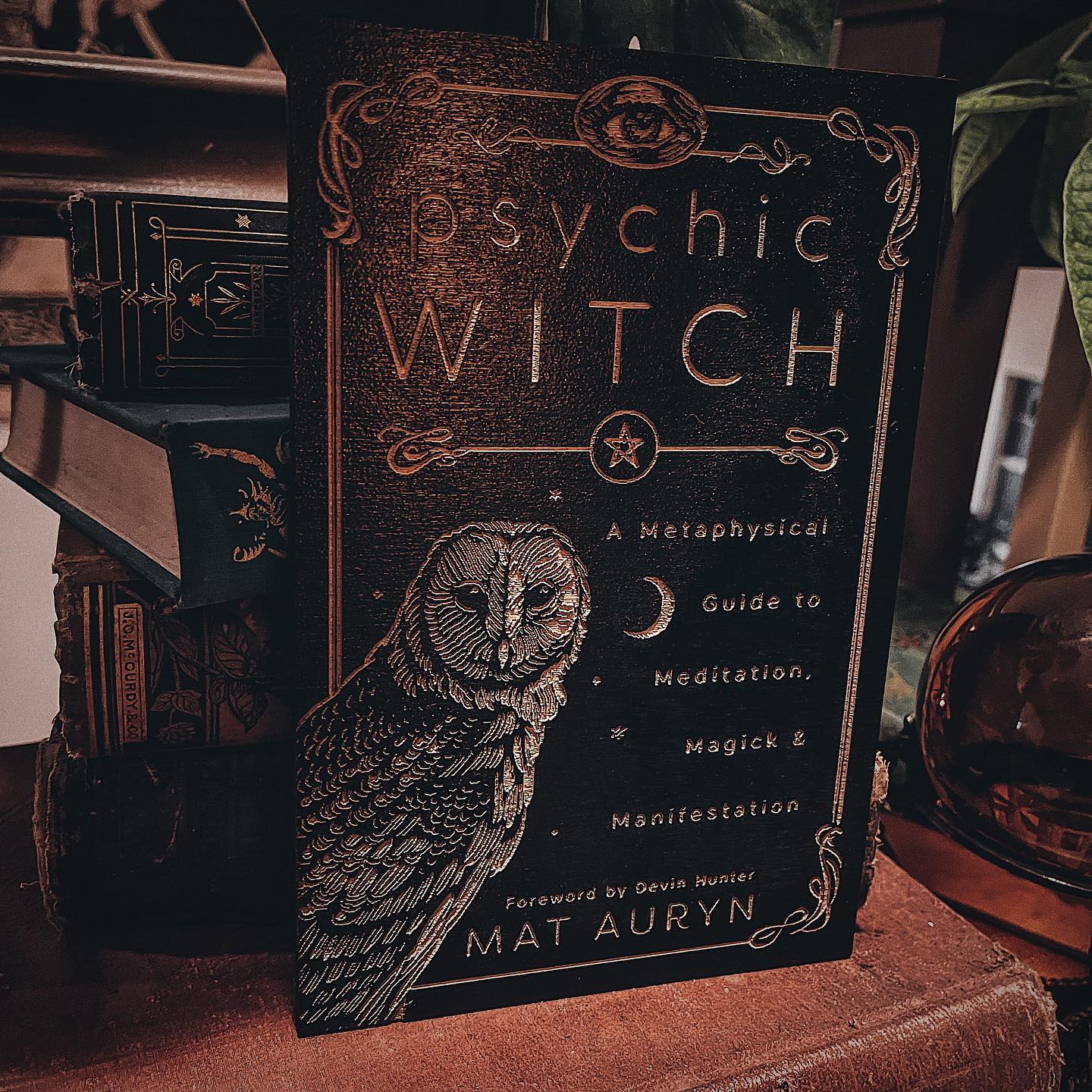One of the many things my talented partner @modernconjure does is make spirit boards, signs, and other divinatory tools out of wood for @daturatrading. He also made this really cool life size wooden sign of my book with the lasers from his villain laboratory. Apparently lasers can be used for more than world domination and confusing cats. 🤷‍♂️